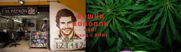 тгк Арсеньев
