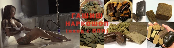 PSILOCYBIN Аркадак