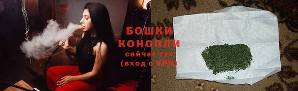 PSILOCYBIN Аркадак