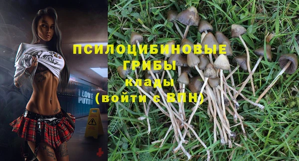 трава Балабаново