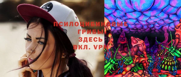 PSILOCYBIN Аркадак