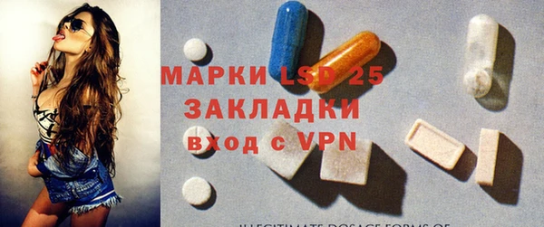 PSILOCYBIN Аркадак