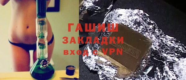 индика Гусев
